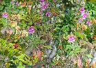 Val Glenny_Country bank.jpg : green wall